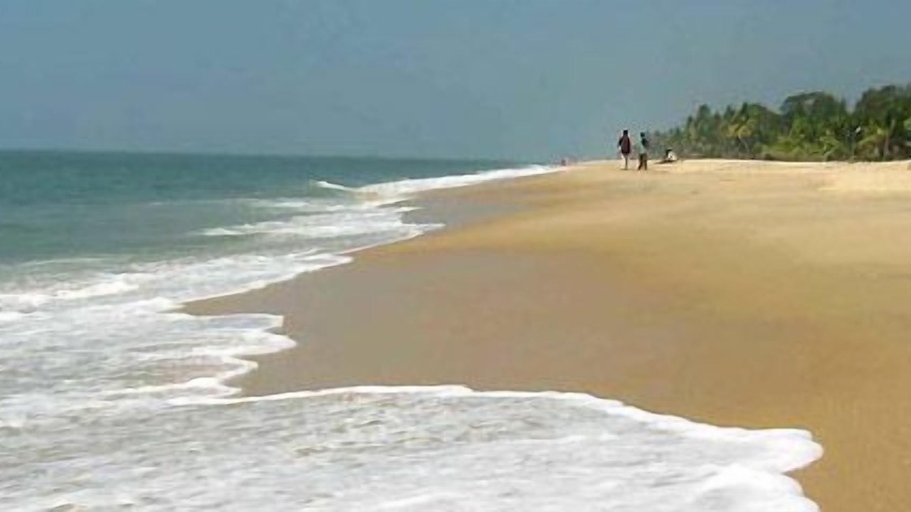 Photo of Others in Alappuzha
