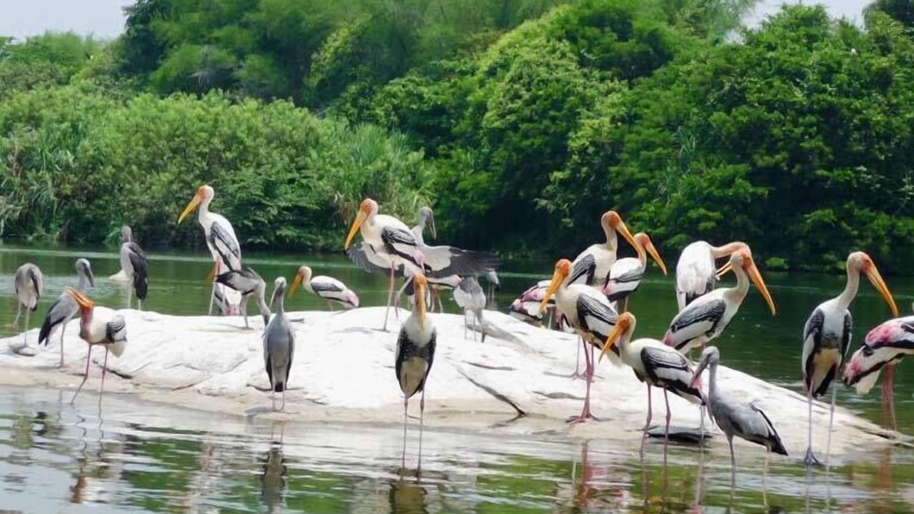 Photo of Others in Kumarakom