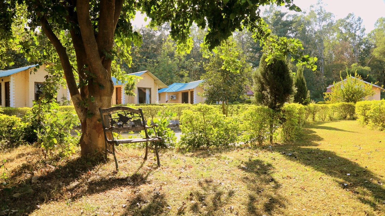 Photo of Others in Dhela