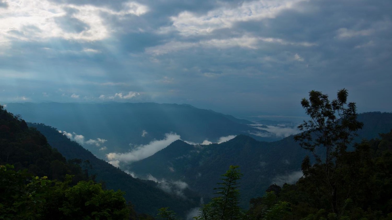 Photo of Outdoor in Meppadi