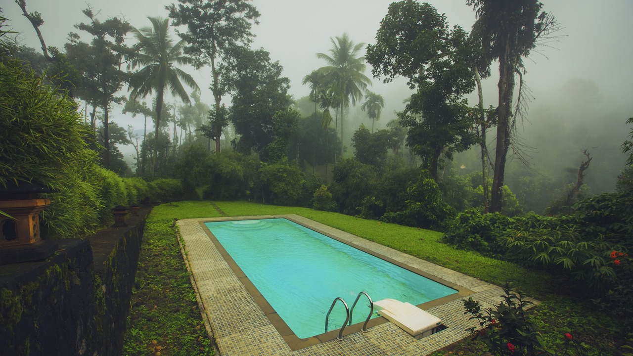 Photo of Outdoor in Meppadi