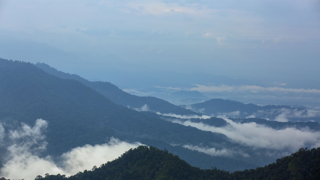 Photo of Outdoor in Meppadi