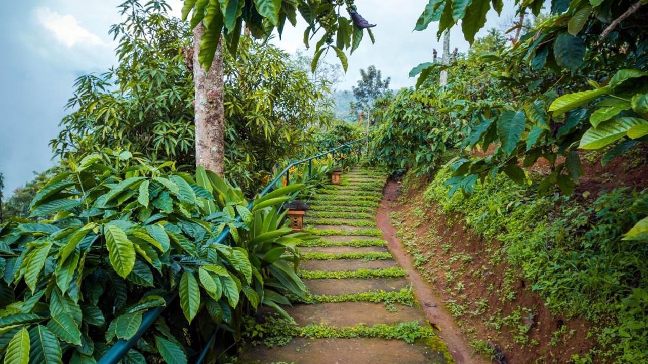 Photo of Outdoor in Meppadi