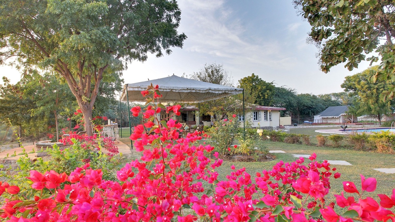 Photo of Outdoor in Khandar