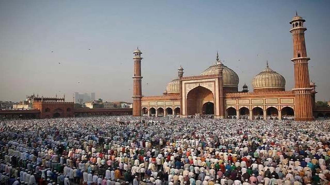 Photo of Others in Paharganj