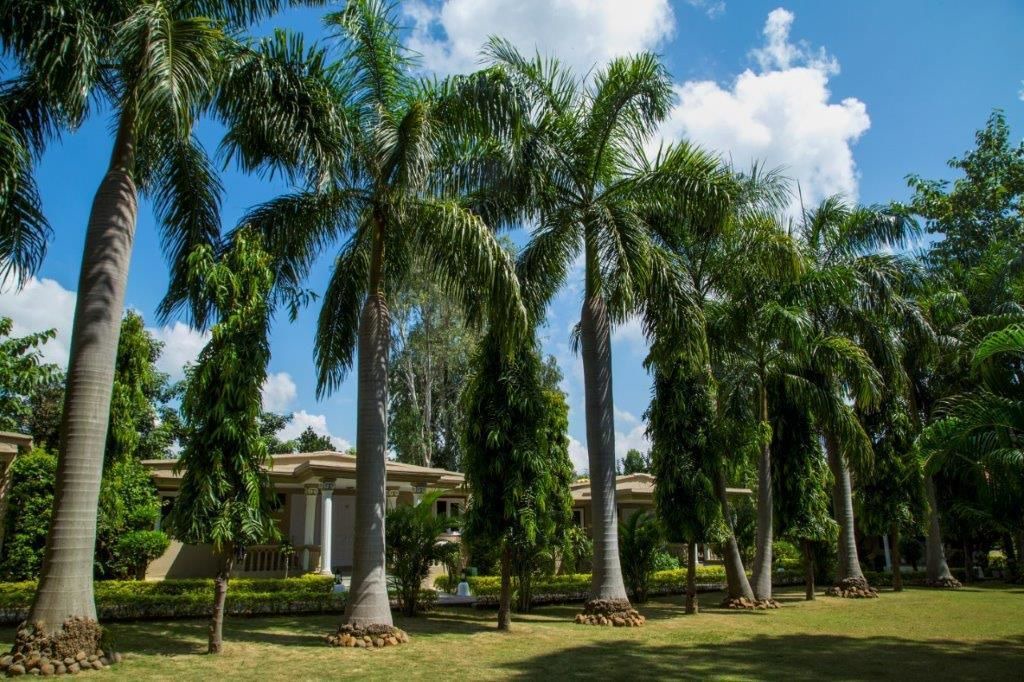 Photo of Outdoor in Tala