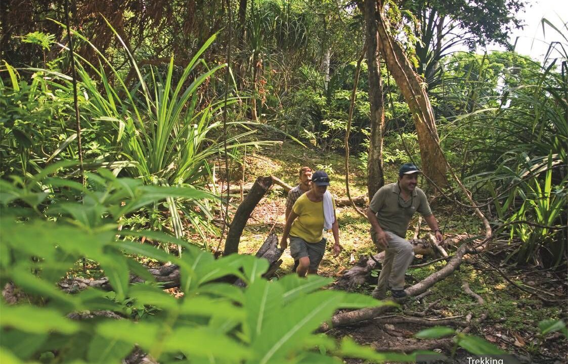 Photo of Outdoor in Havelock Island