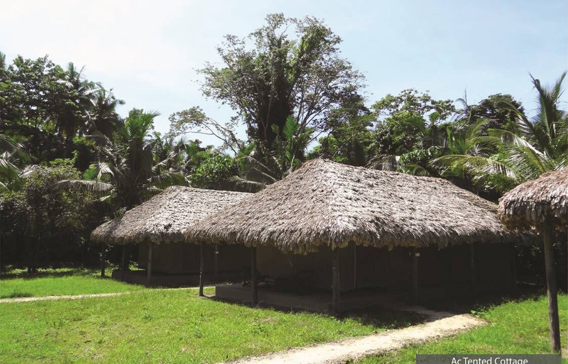 Photo of Outdoor in Havelock Island