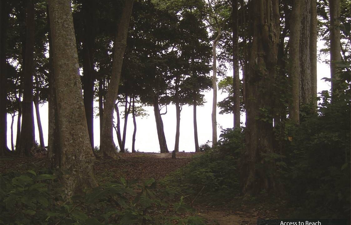 Photo of Outdoor in Havelock Island