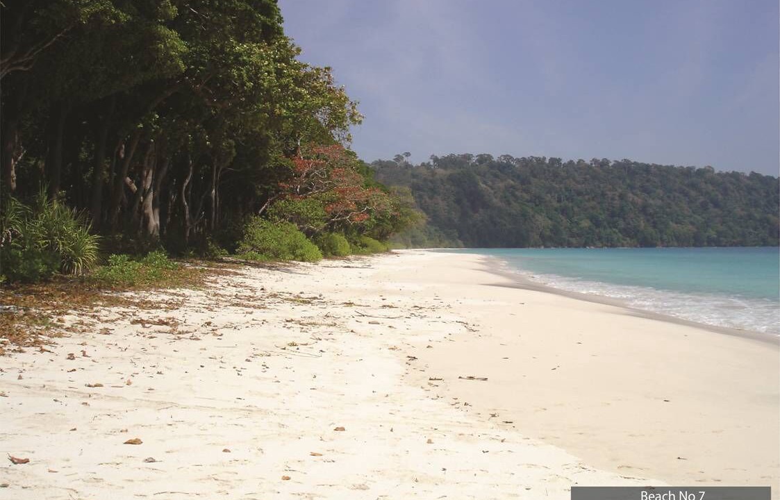 Photo of Others in Havelock Island