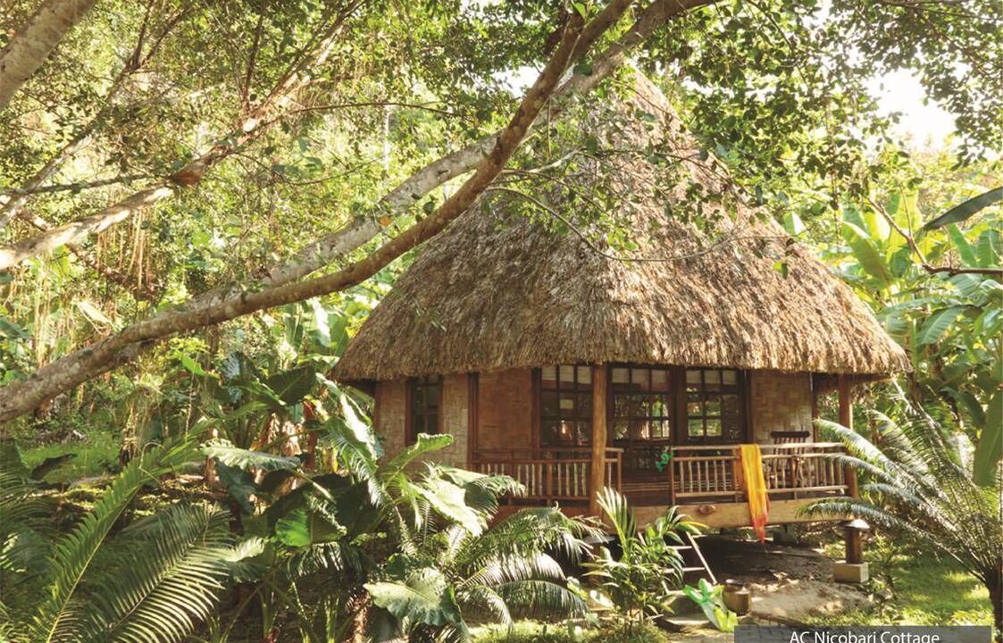 Photo of Outdoor in Havelock Island