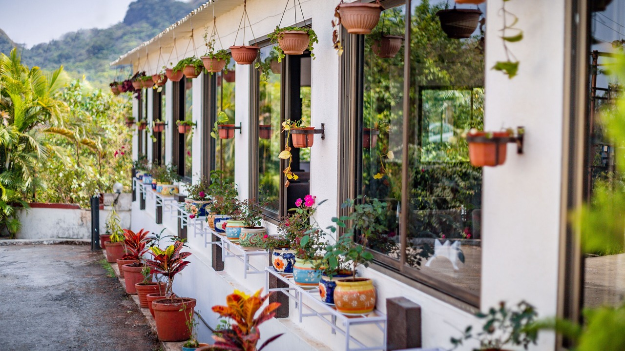 Photo of Outdoor in Atvan