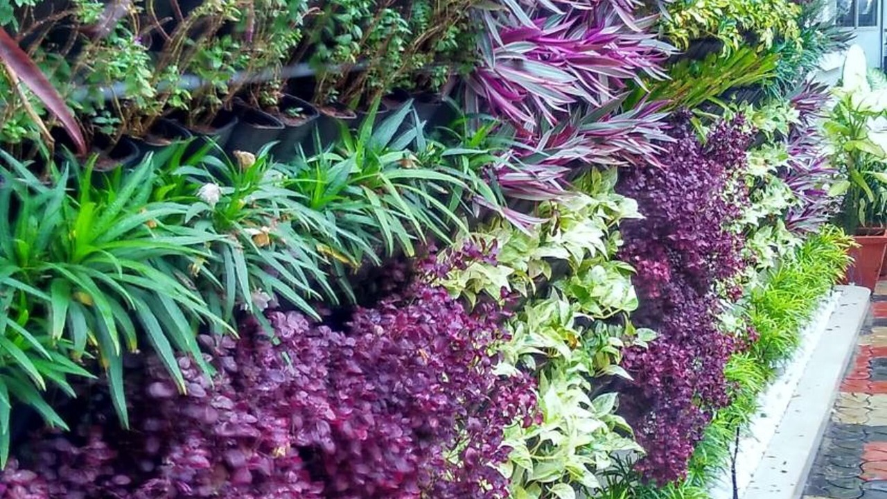 Photo of Outdoor in Varkala