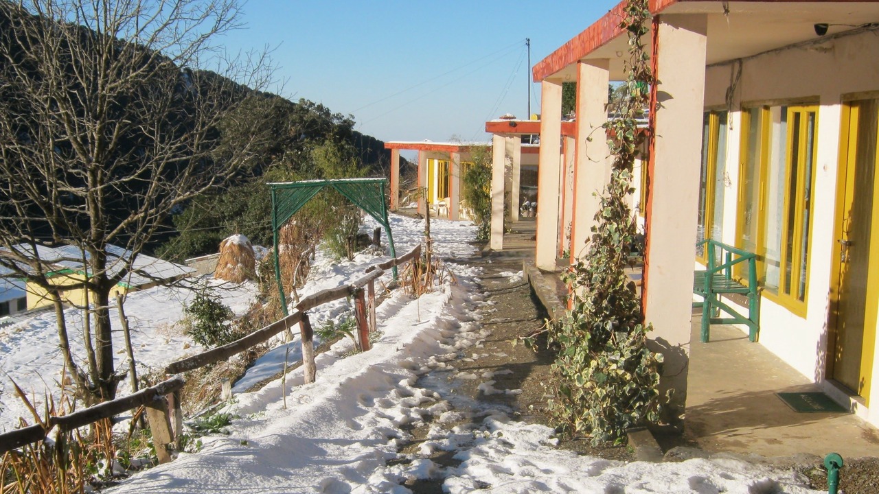 Photo of Outdoor in Pangot