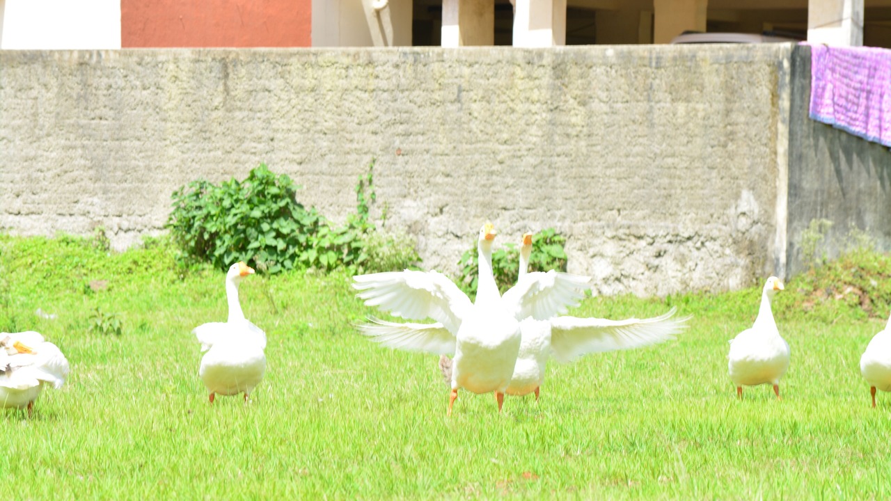 Photo of Outdoor in Trimbak