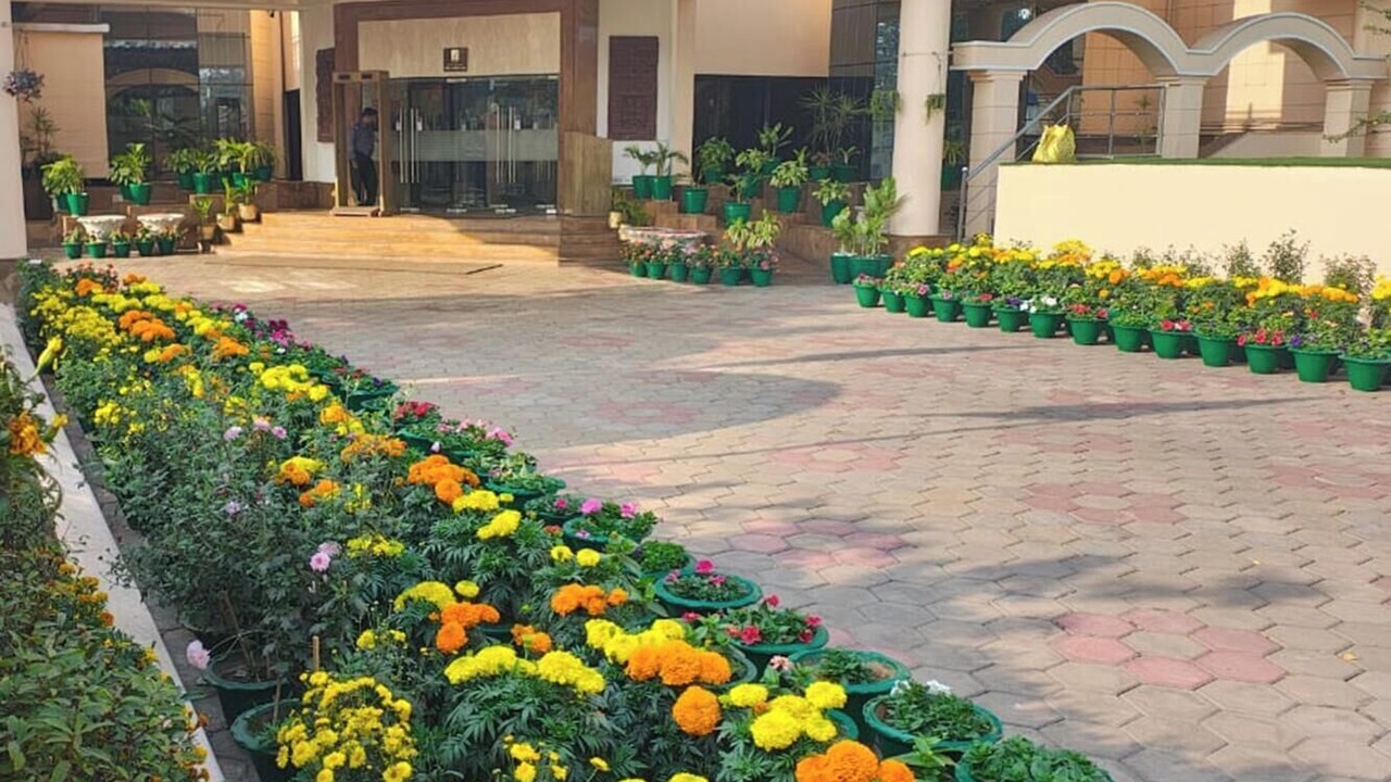Photo of Outdoor in Paradeep