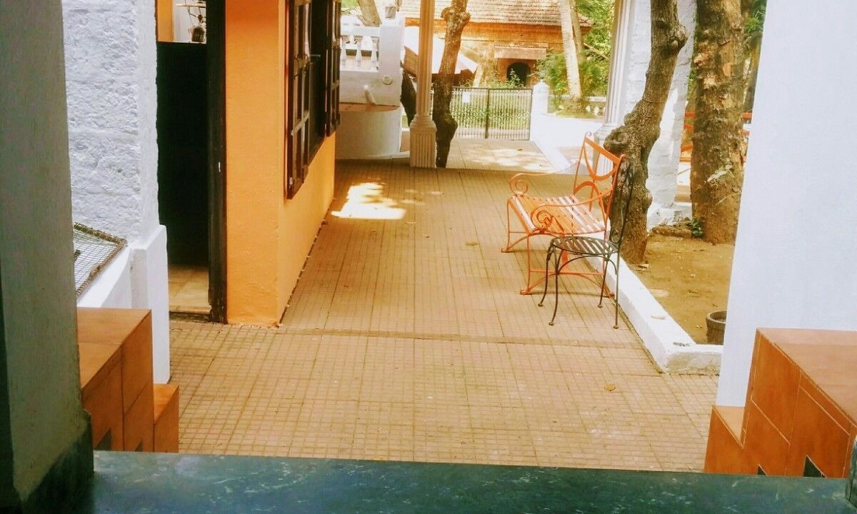 Photo of Outdoor in Penha de Franรงa