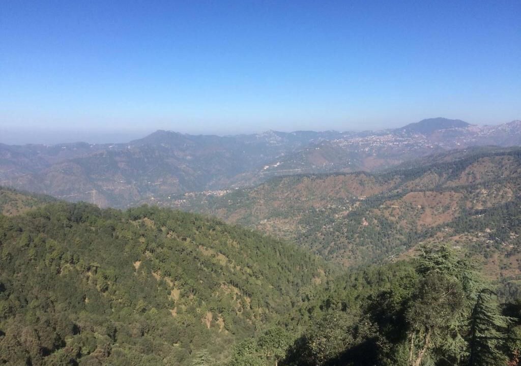 Photo of Others in Shimla