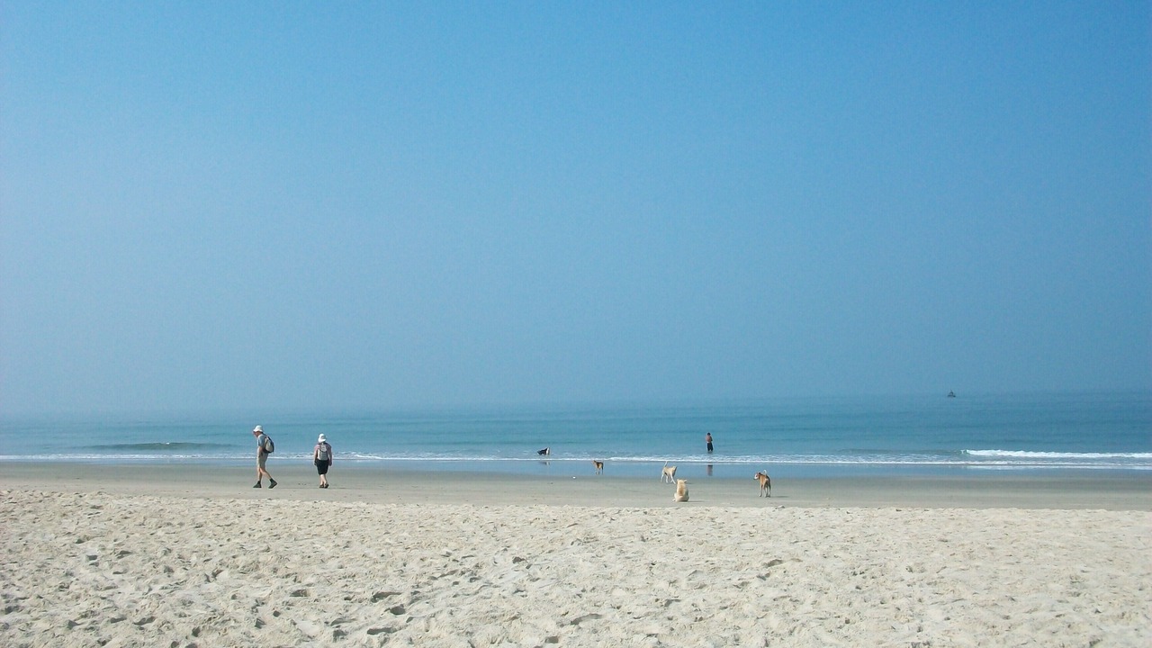 Photo of Outdoor in Benaulim