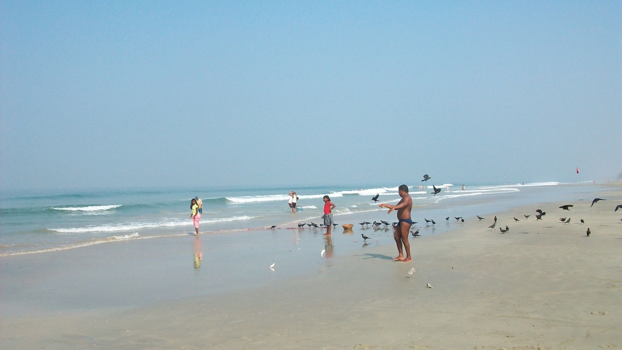 Photo of Others in Benaulim