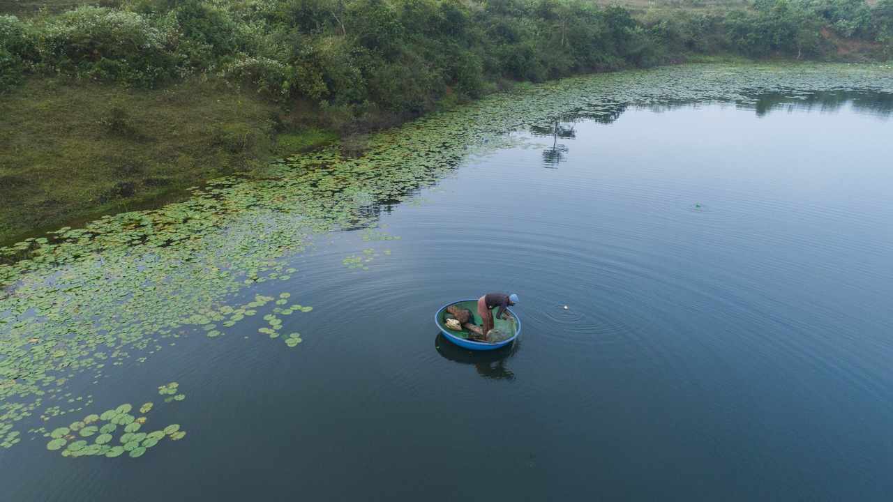 Photo of Outdoor in Sulthan Bathery