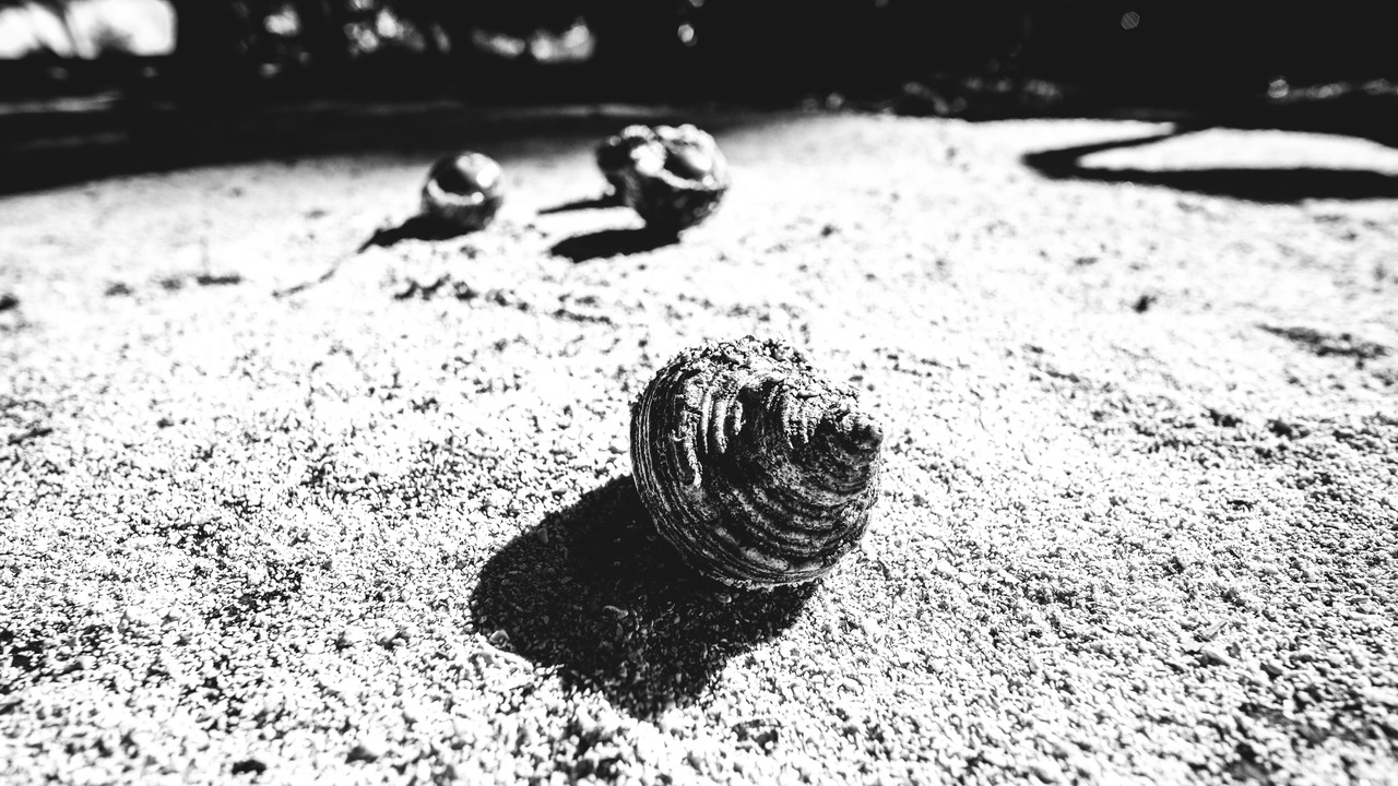 Photo of Others in Neil Island