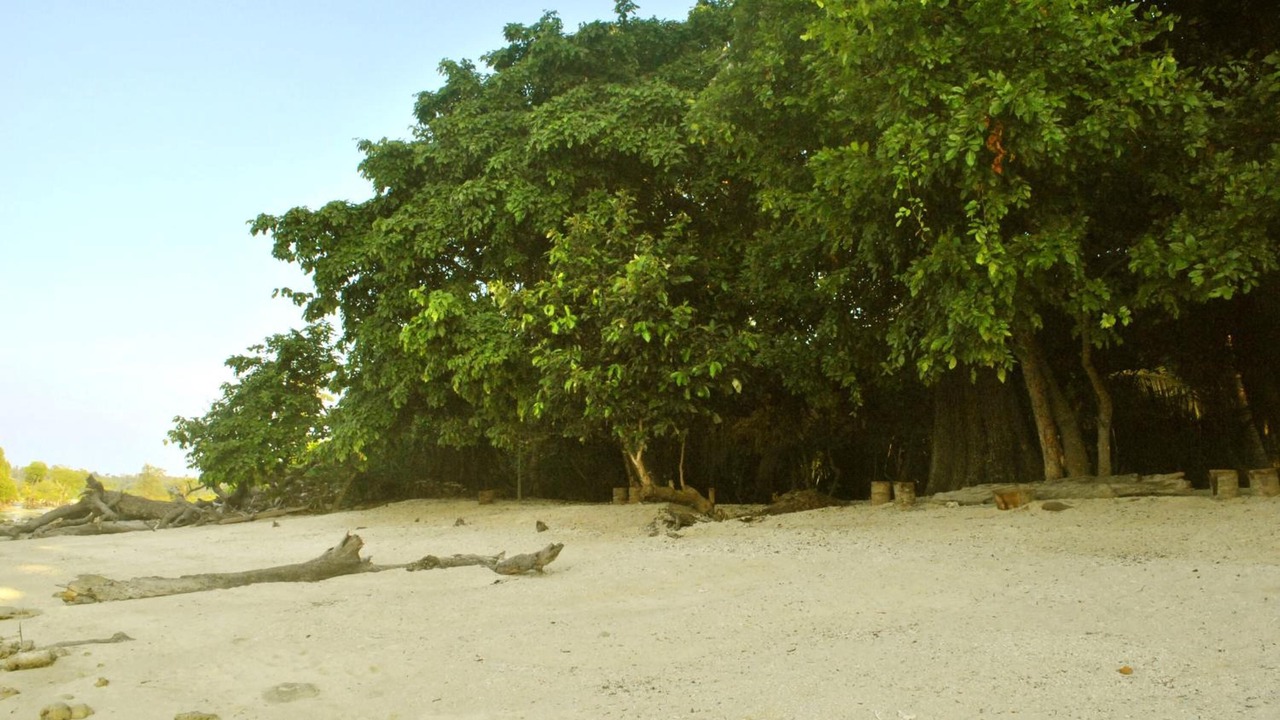 Photo of Others in Neil Island