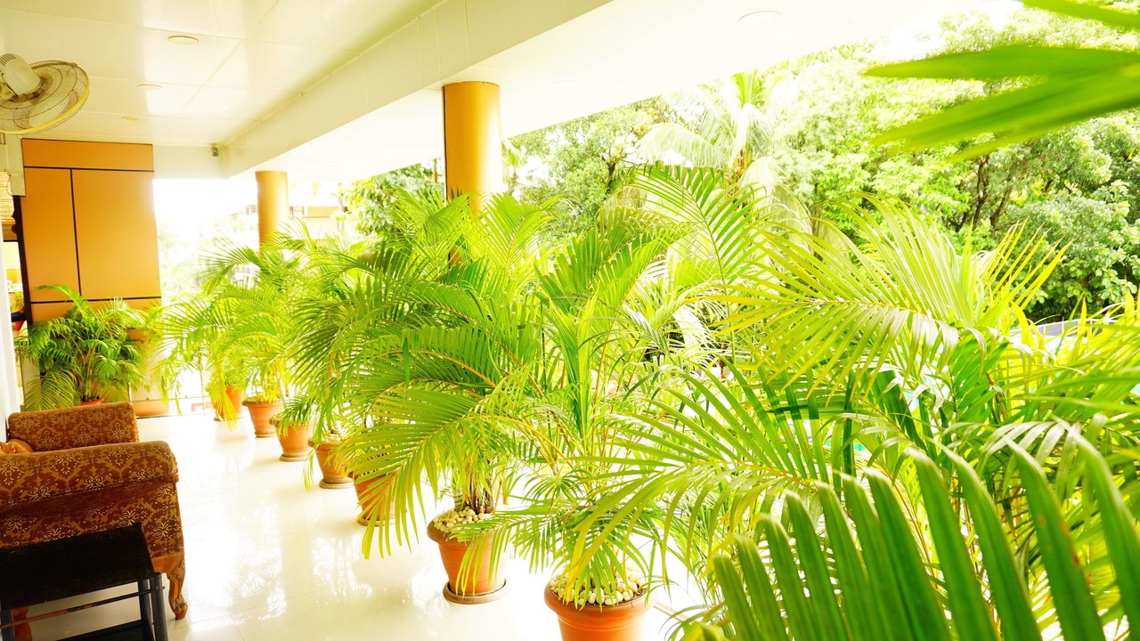 Photo of Outdoor in Edapalli