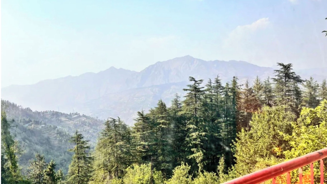 Photo of Others in Shimla