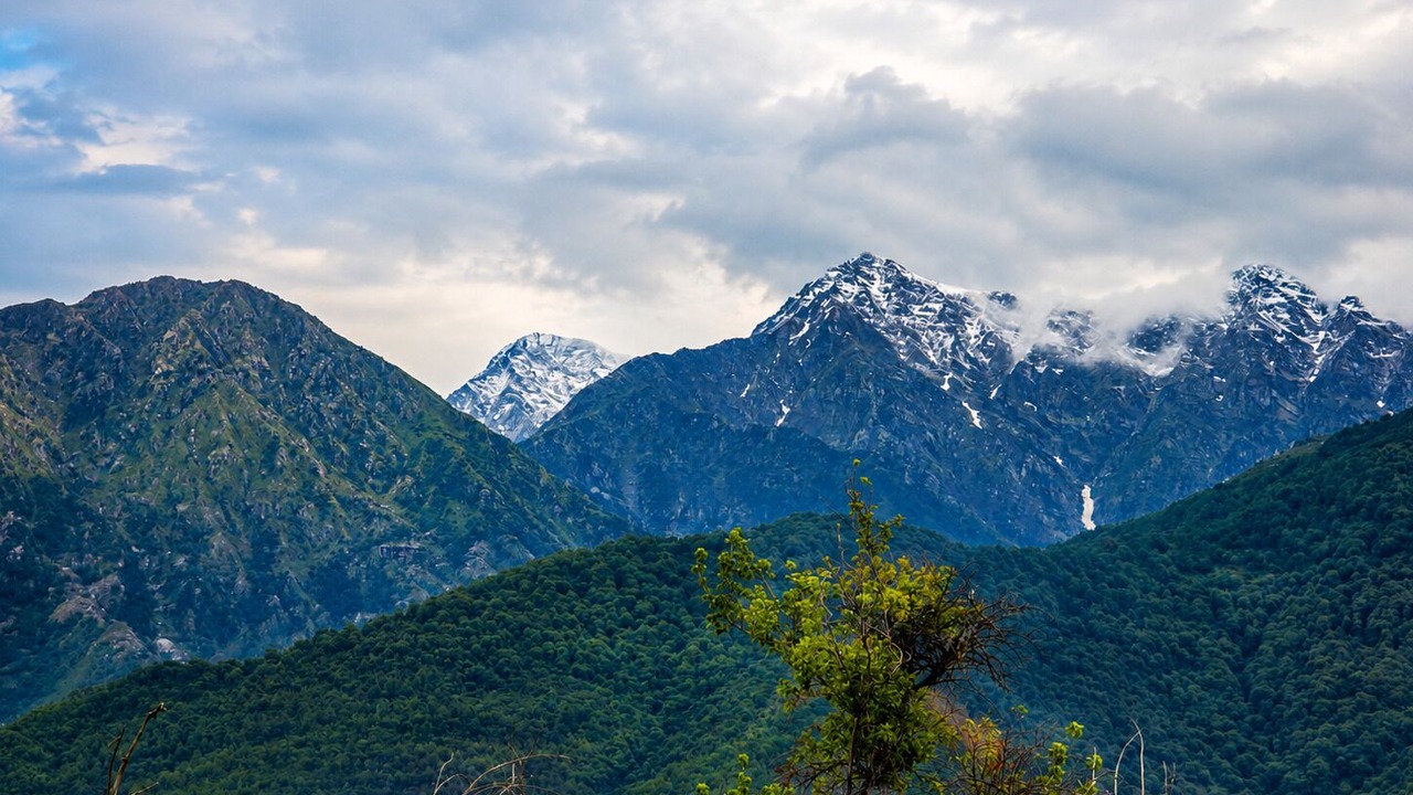 Photo of Others in Palampur