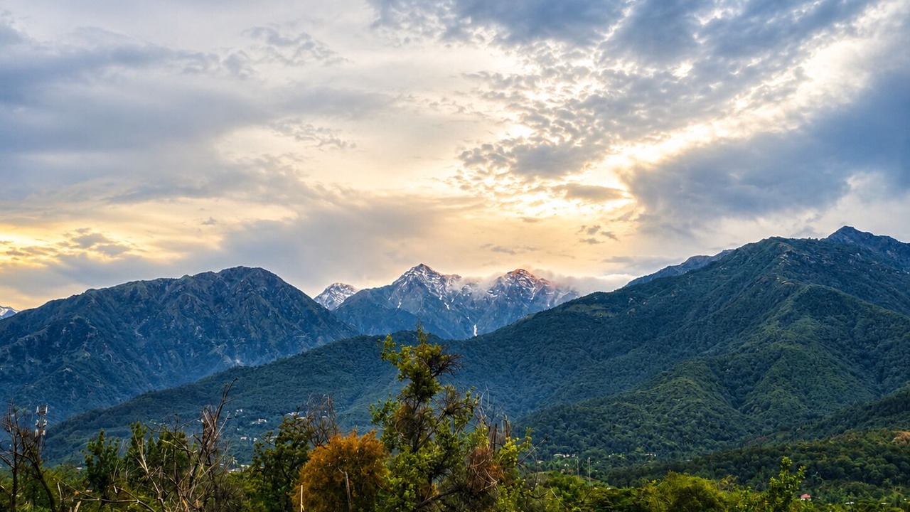 Photo of Others in Palampur