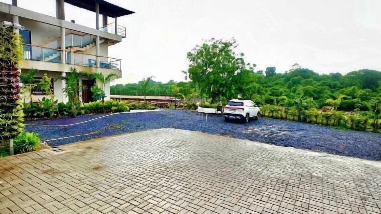 Photo of Outdoor in Arambol