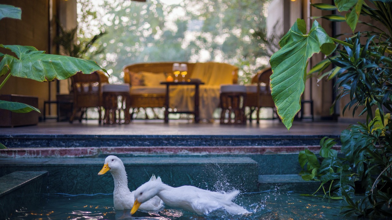 Photo of Outdoor in Bassi