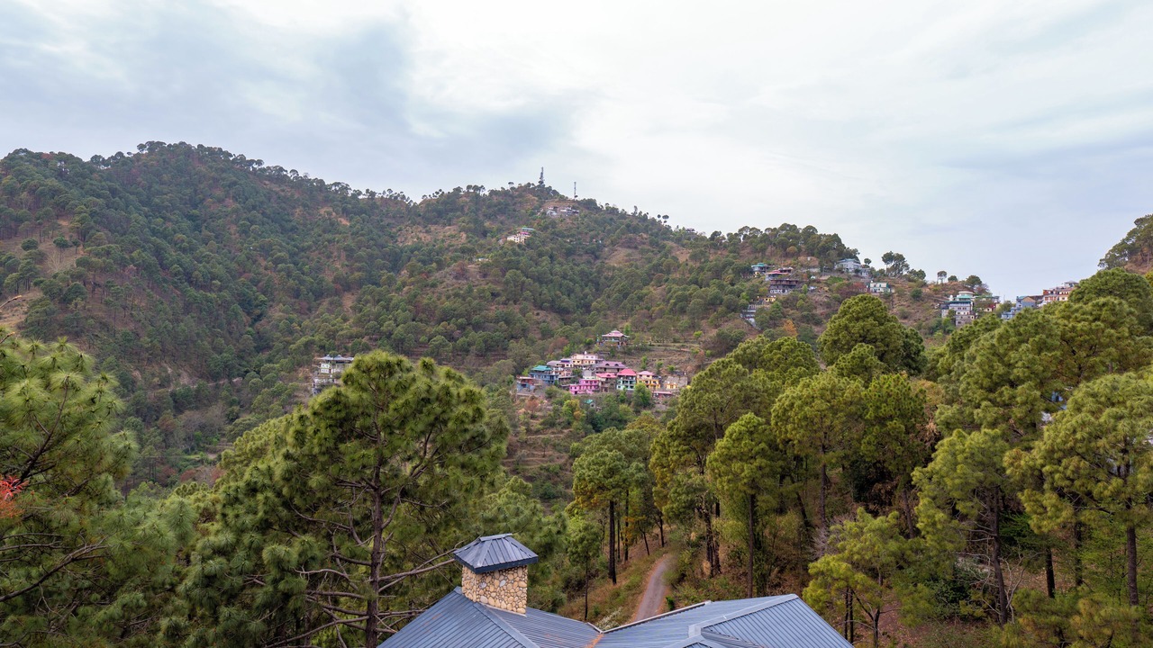 Photo of Others in Kasauli