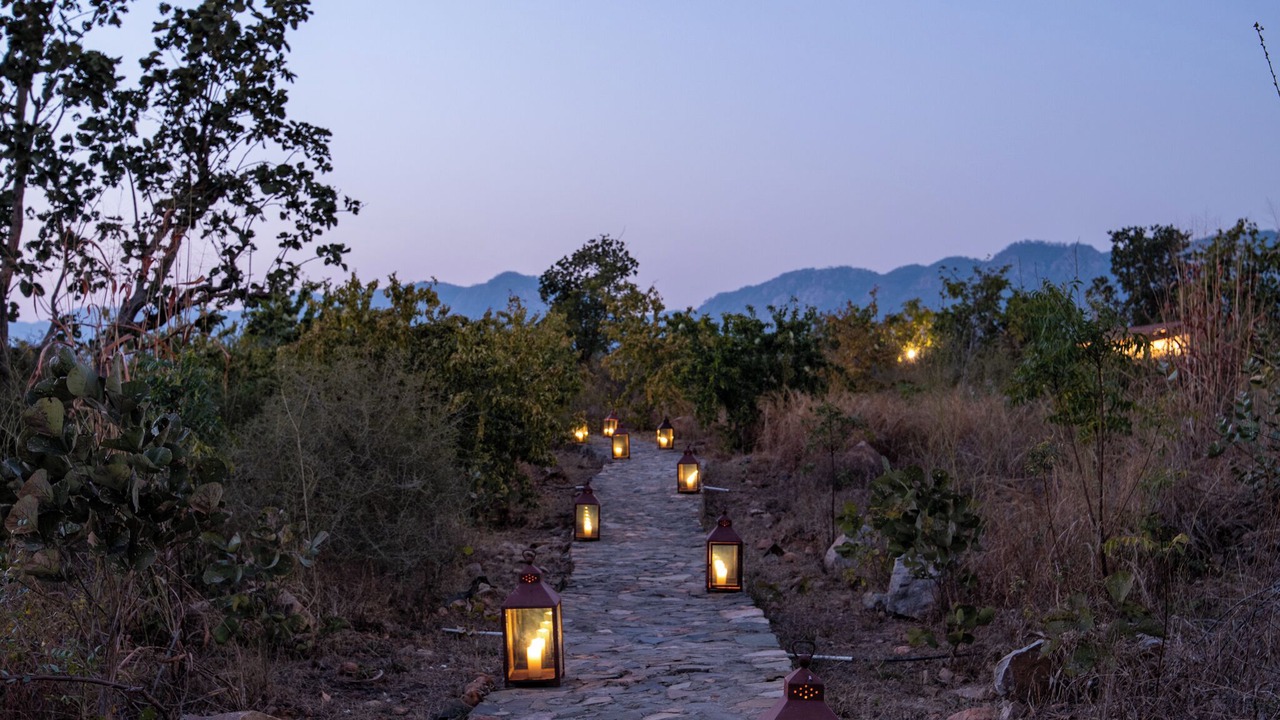 Photo of Outdoor in Sariska