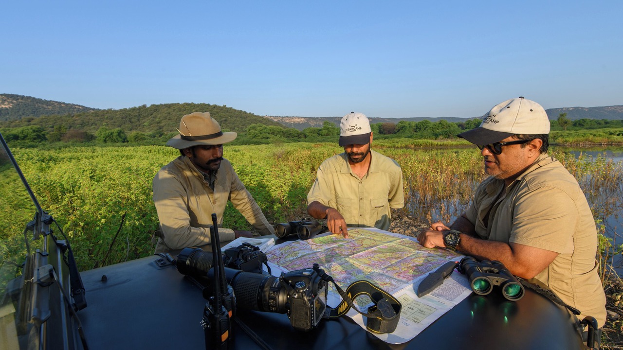 Photo of Others in Sariska