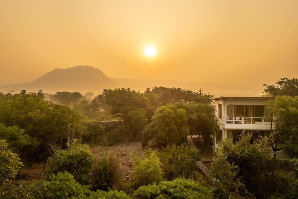 Photo of Others in Sariska