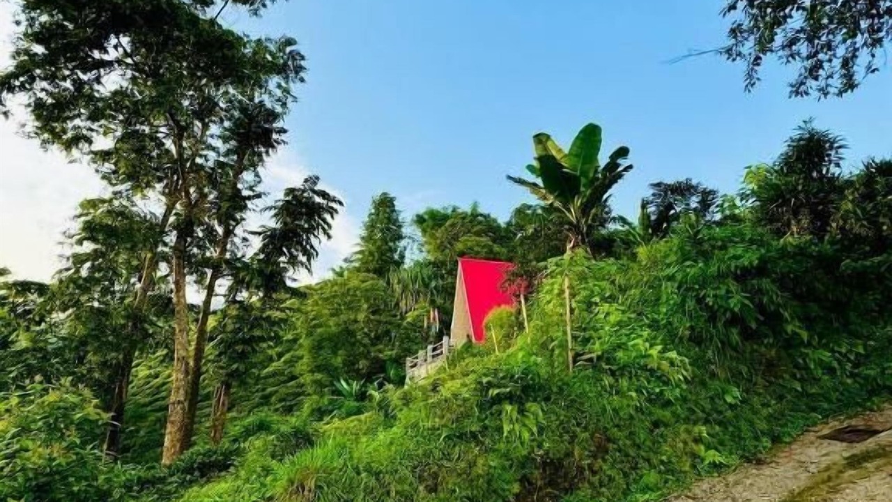 Photo of Others in Darjeeling