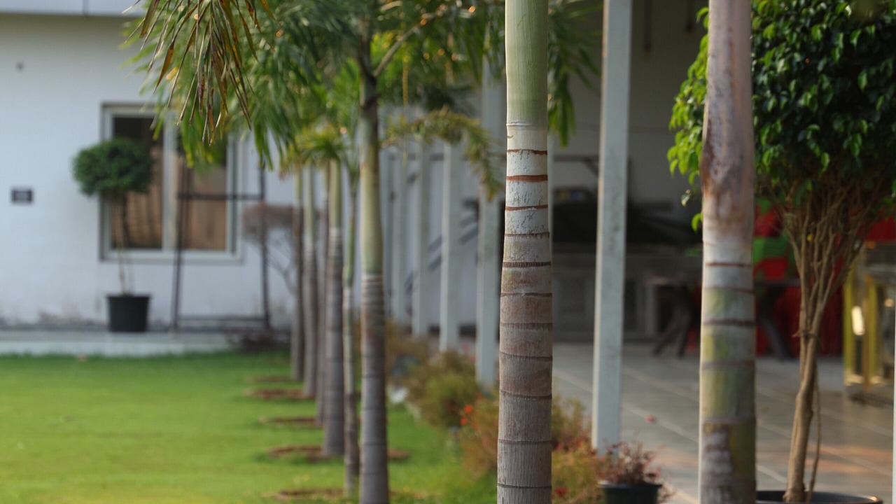 Photo of Outdoor in Bharatpur