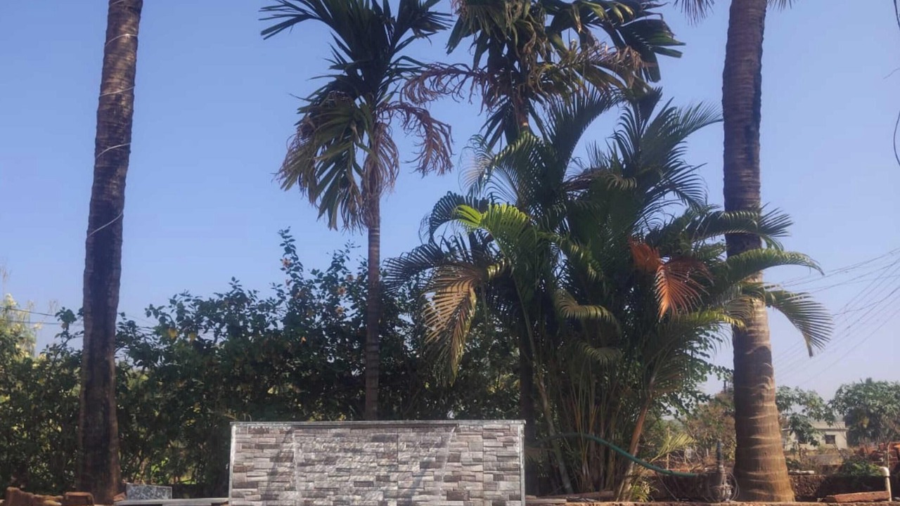 Photo of Outdoor in Kunkeshwar
