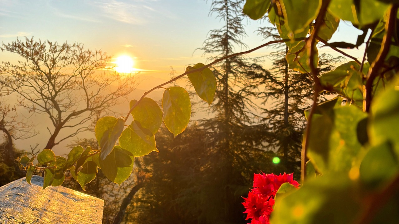 Photo of Outdoor in Nainital