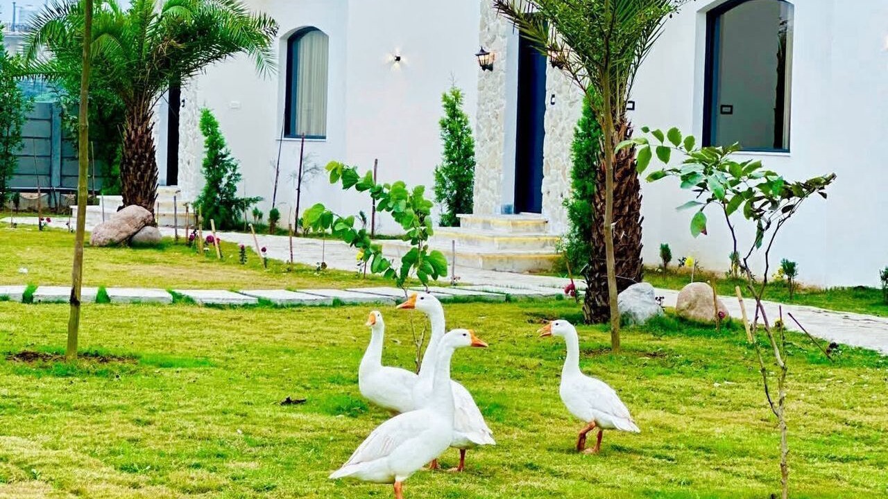 Photo of Outdoor in Kharar