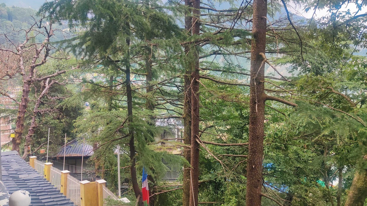 Photo of Patio Balcony in Dharamshala