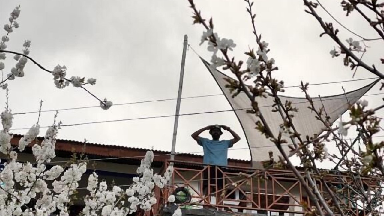Photo of Outdoor in Old Manali