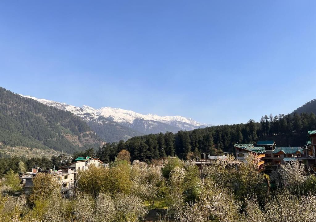 Photo of Bedroom in Old Manali