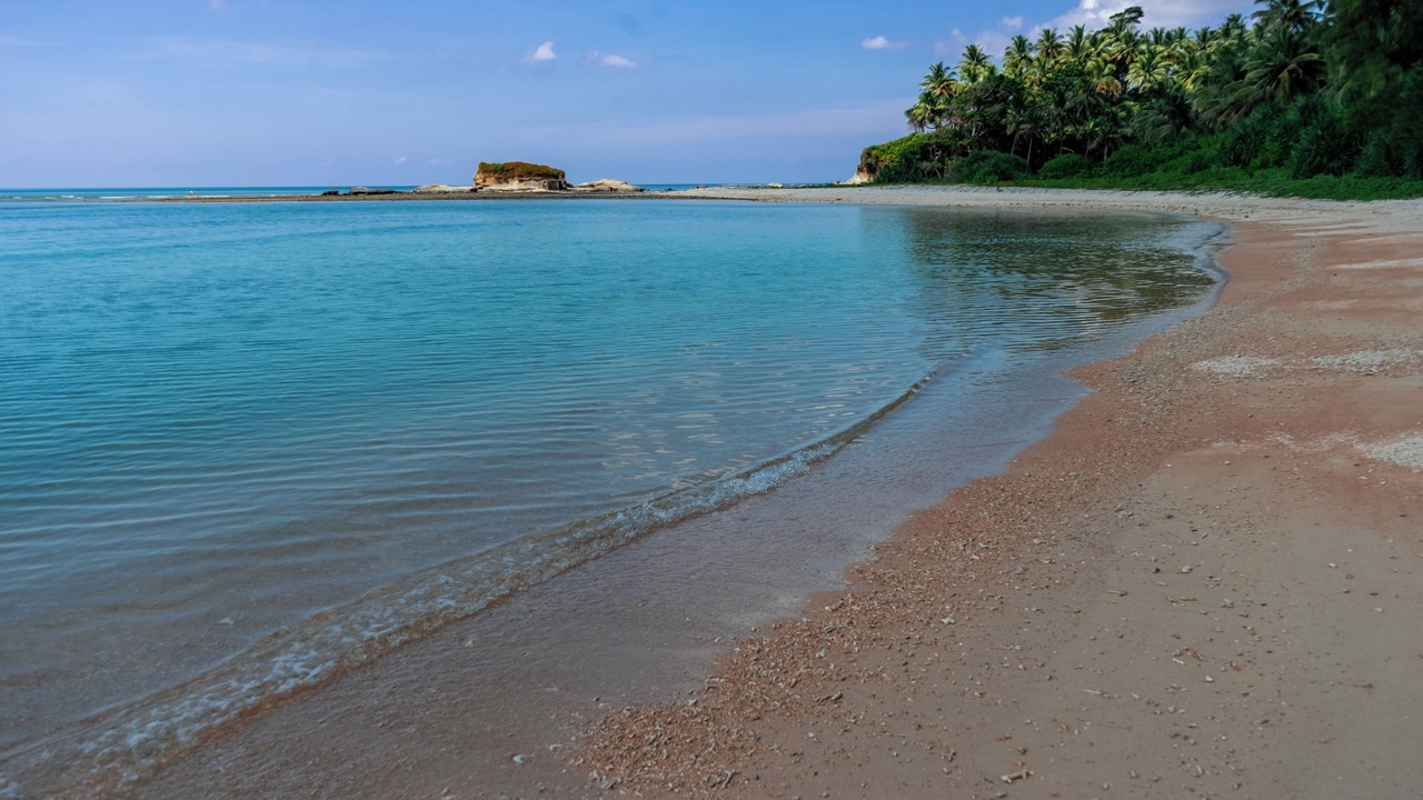 Photo of Others in South Andaman District