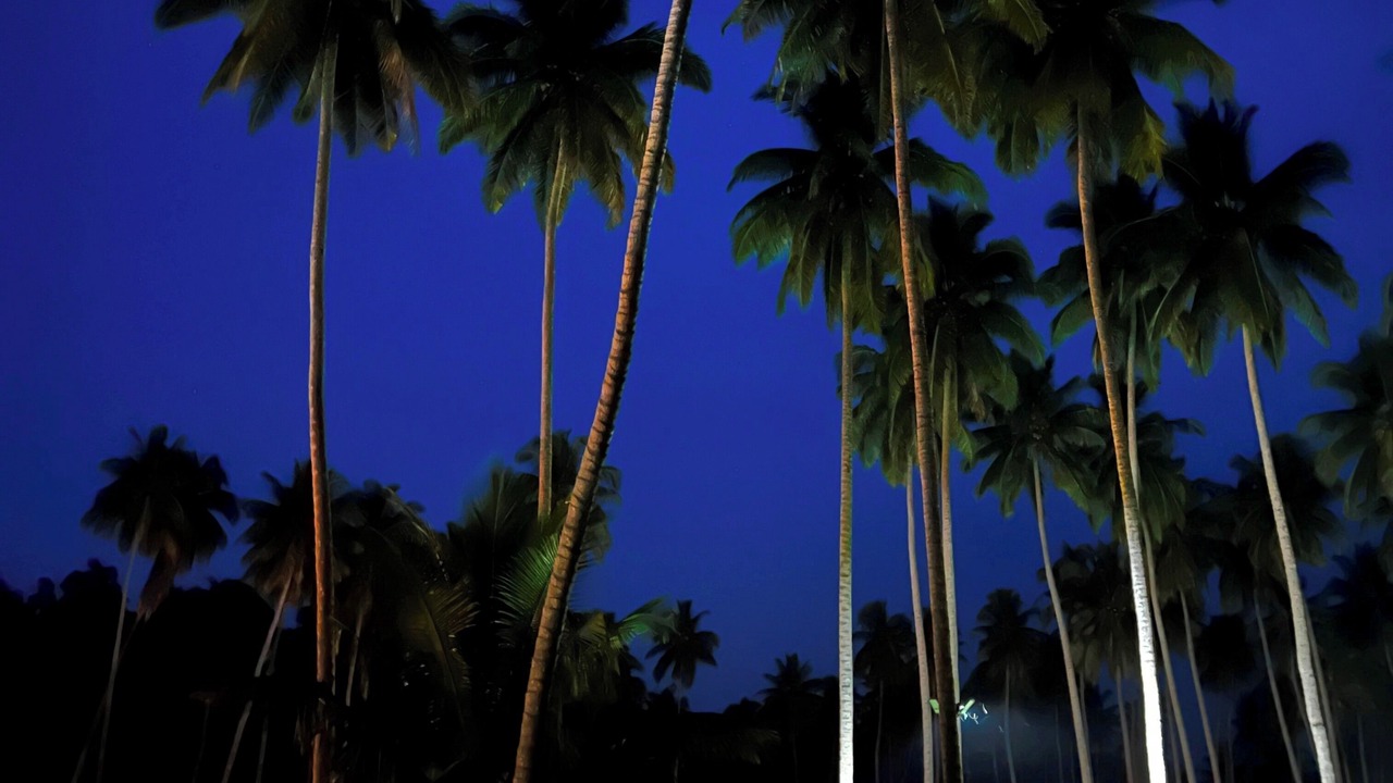 Photo of Outdoor in South Andaman District