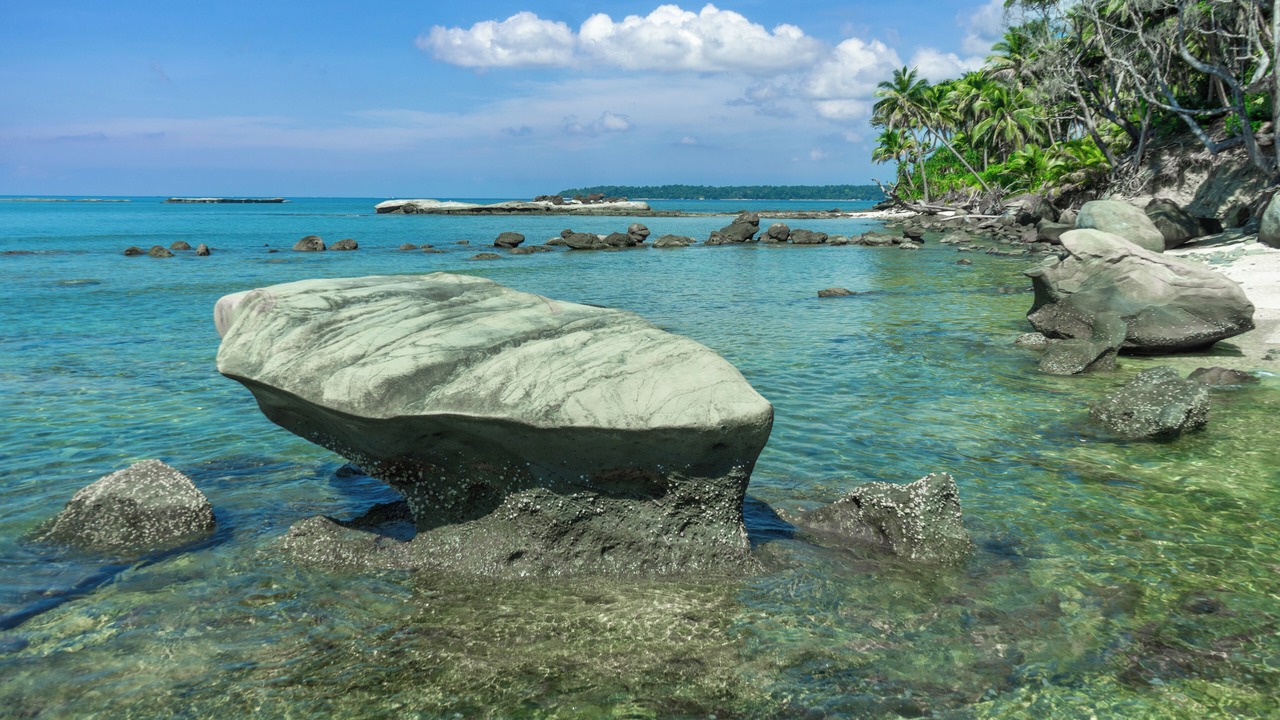Photo of Others in South Andaman District