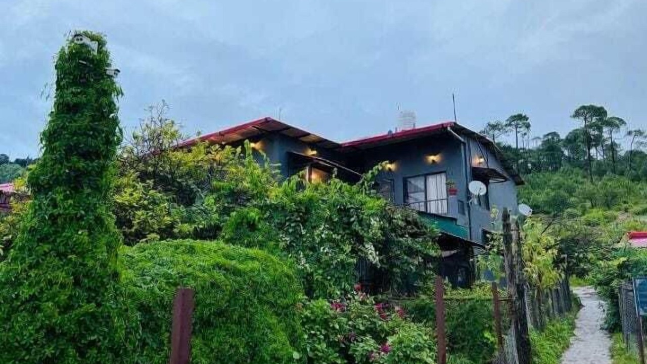 Photo of Outdoor in Lansdowne
