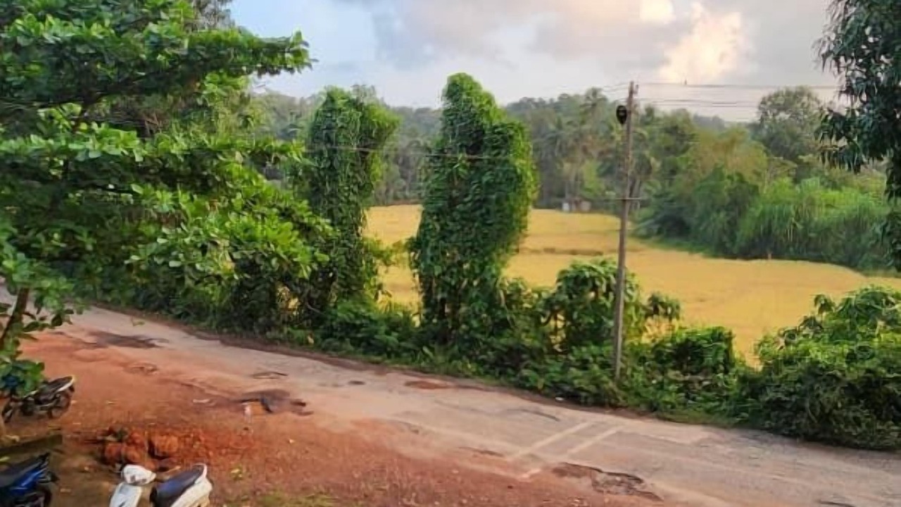 Photo of Patio Balcony in Patnem